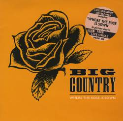 Big Country : Where the Rose Is Sown